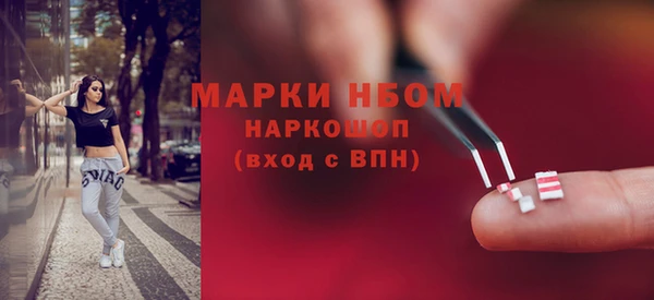 СК Бородино