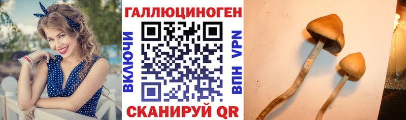 кракен ссылки  Горняк  Галлюциногенные грибы GOLDEN TEACHER  цены  